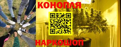 Альфа ПВП Пушкино