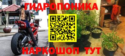 2c-b Пугачёв